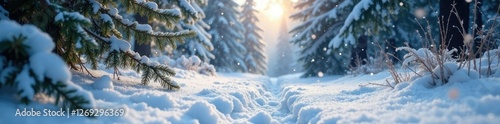 Softly falling snowflakes blanket the forest floor, frozen ground, trees, whiteout