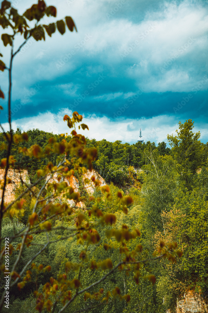 Serene Wilderness: Tranquil Forests, Breathtaking Skies, and the Beauty of Nature Serene Wilderness: Tranquil Forests, Breathtaking Skies, and the Beauty of Nature