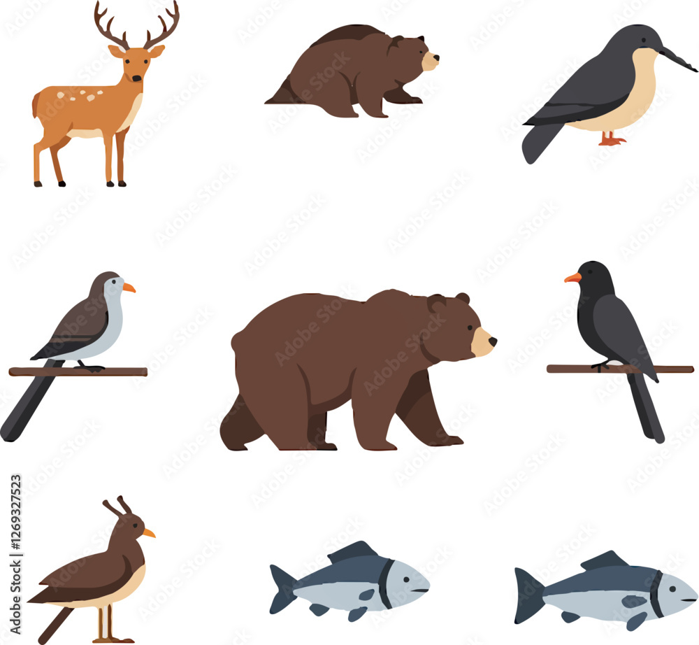 Fototapeta premium collection of animals