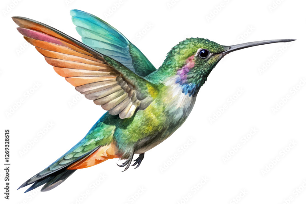 Fototapeta premium Vibrant watercolor painting, colorful hummingbird illustration, natural wildlife art, detailed bird depiction, nature-inspired design.