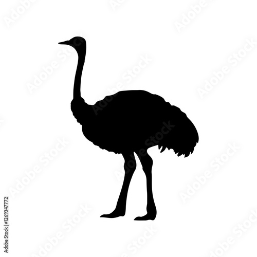 African ostrich silhouette vector flat illustration design on white background.