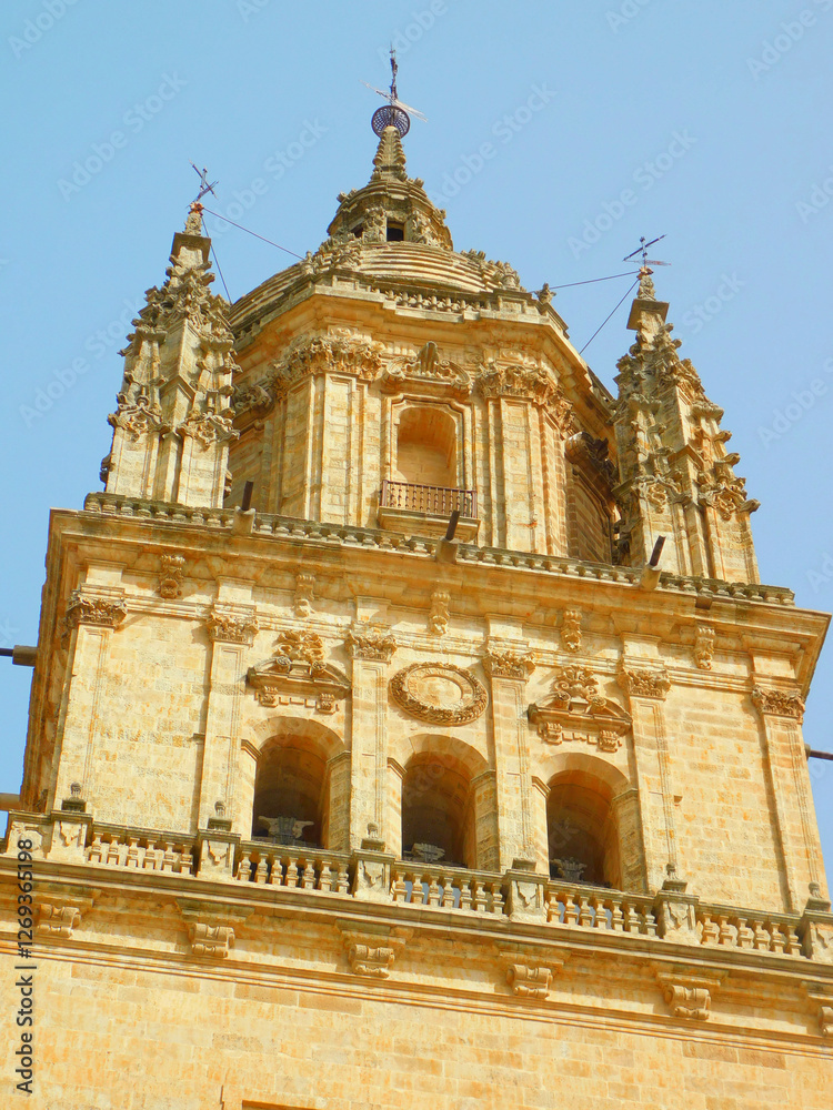 Obraz premium cathedral of Salamanca in Spain