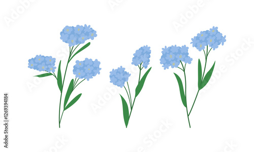 Forget me not flower branches set. Vector flat botanical illustration. Spring wild blue flowers