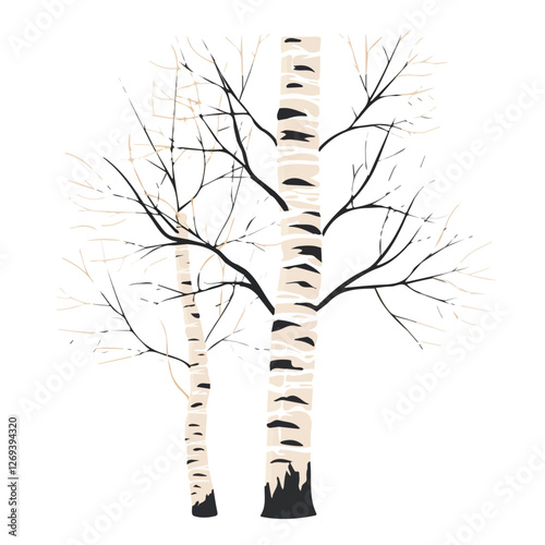 2D flat vector illustration birch tree icon isolated on a white background.

