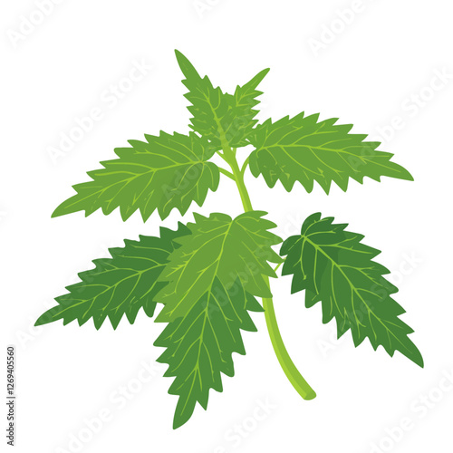 2D flat vector illustration nettle plant icon isolated on a white background.

