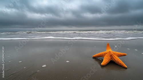 Starfish resting on wet sand at the shoreline during a tranquil day with clou...