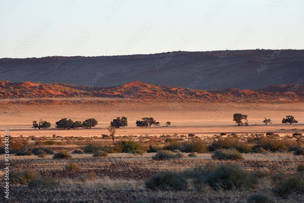 Morgenstimmung an der Elimdüne bei Sesriem (Namibia) Morgenstimmung an der Elimdüne bei Sesriem (Namibia)