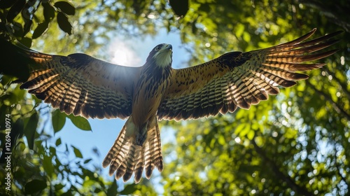 Majestic bird soaring gracefully through a sunlit forest on a clear afternoon