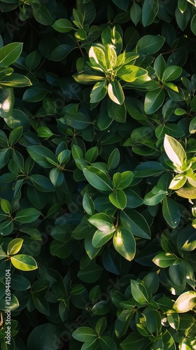 Lush green foliage with vibrant leaves glowing under sunlight in a natural se...