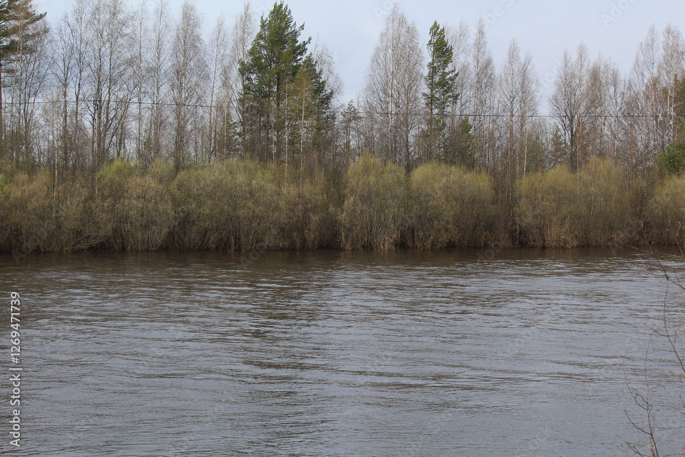 Fototapeta premium a river overflowing during the spring flood