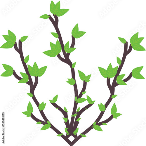 branches and leafs
