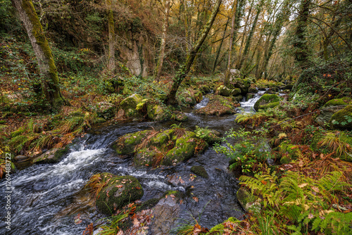 View of a Barbantino river through the forest on November 29, 2020 in Galicia, Spain.