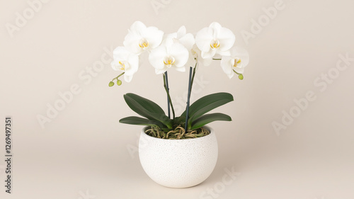 Wallpaper Mural beautiful arrangement of white orchids in round pot, showcasing elegance and tranquility. Perfect for home decor or gifting Torontodigital.ca