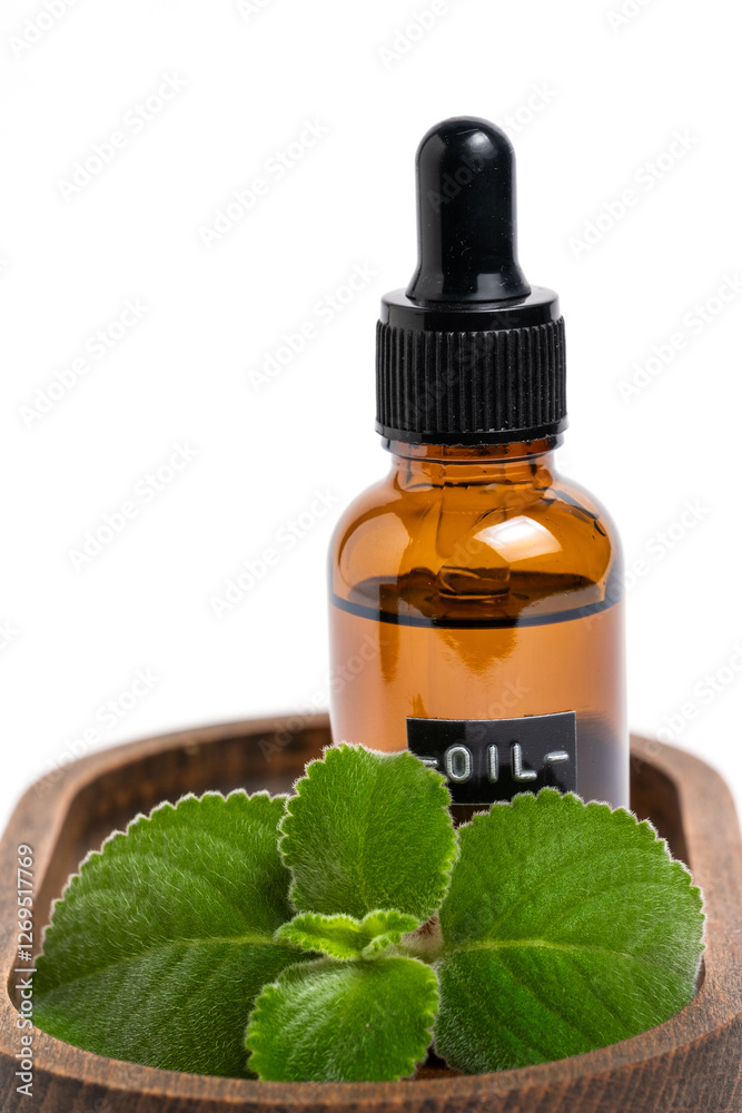 Essential oil in glass bottle with fresh mint leaves. Essential oil in glass bottle with fresh mint leaves.