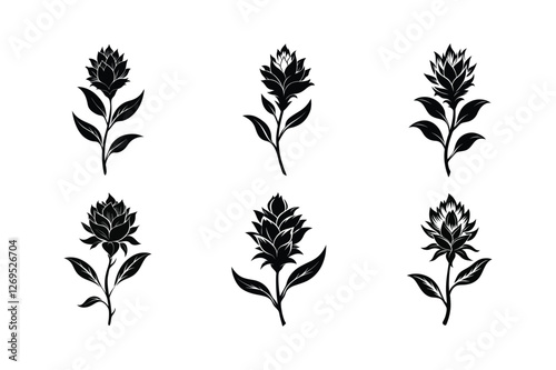 Indian Paintbrush (Castilleja spp.) silhouette vector illustration