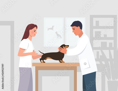 A veterinarian examines a dachshund. A dog in a veterinary clinic. A veterinarian works. Vector illustration.
