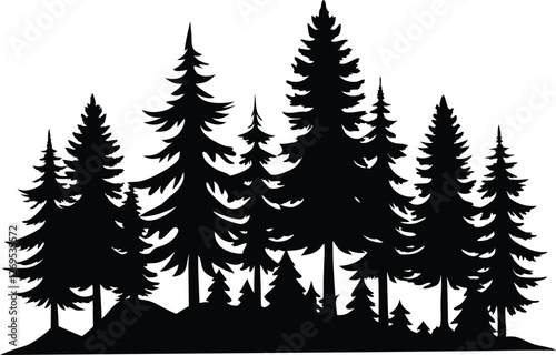 pine tree forest silhouette, Fir trees silhouettes