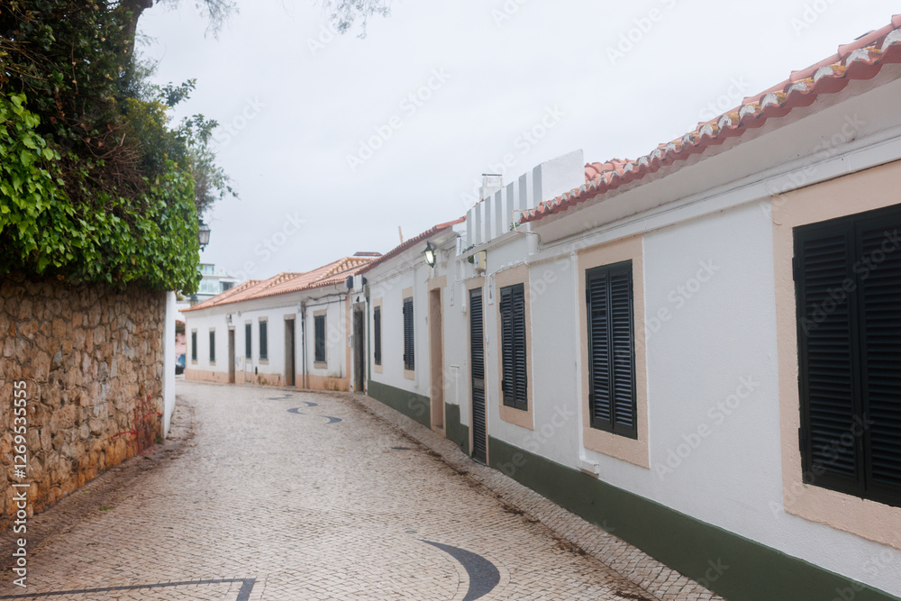 Charming narrow street paved with cobblestones, lined with traditional white houses with dark shutters and red-tiled roofs in Portugal. Stock photo Charming narrow street paved with cobblestones, lined with traditional white houses with dark shutters and red-tiled roofs in Portugal. Stock photo