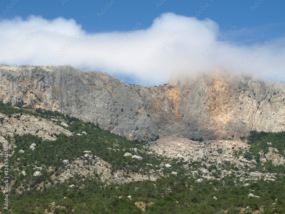 custom made wallpaper toronto digitalOLYMPUS DIGITAL CAMERA