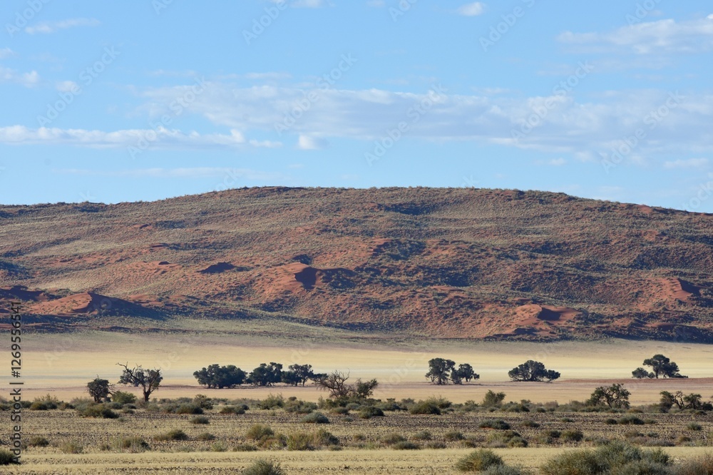 Sanddünen der Namib im Abendlicht in Namibia