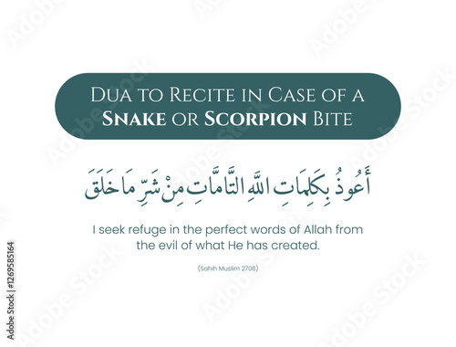 Dua to Recite in Case of a Snake or Scorpion Bite