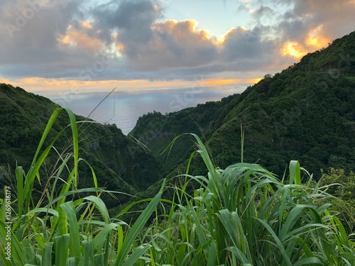 Maui canyon photo