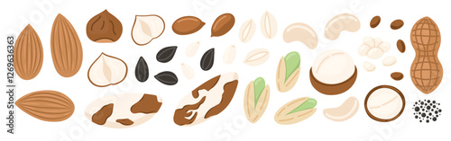 Nuts and seeds set. Walnut, almond, hazelnut, peanuts dry, pistachio, chickpea, macadamia and sunflower seed. Vegan food ingredients. Vector illustration isolated on white background
