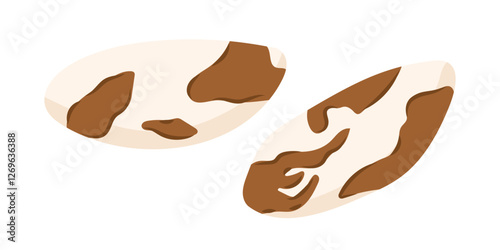 Brazilian nuts. Pecan peeled whole seeds. Vegan food ingredients. Vector illustration isolated on white background