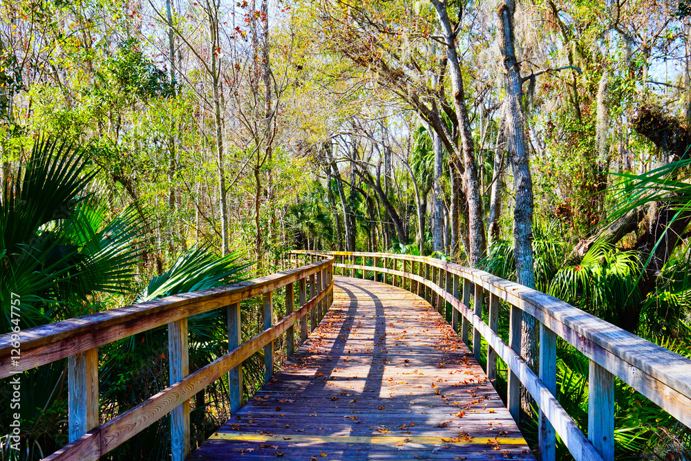Fototapeta premium Wesley Chaple, Florida, USA, 12 10 2024: The winter foliage landscape of a beautiful community and trail at Wesley Chapel, north of Tampa in Florida