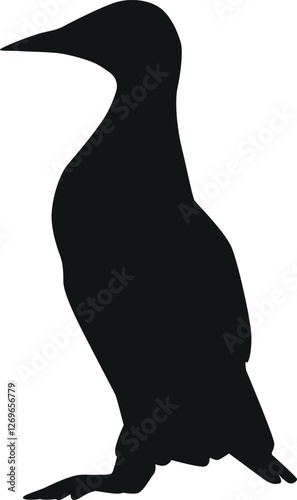 Emperor penguin arctic bird black-and-white