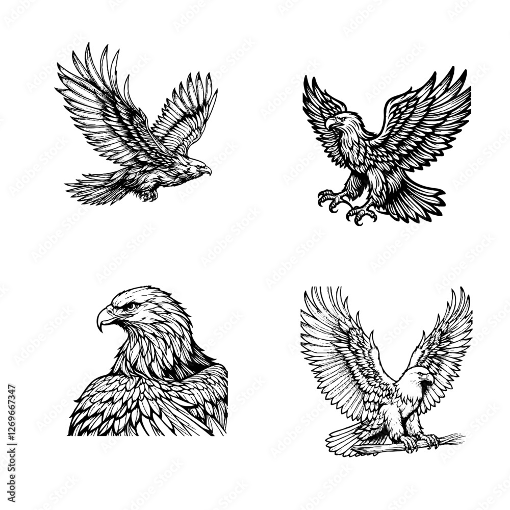 Naklejka premium golden eagle