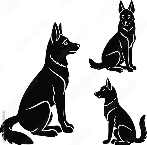 black and white dog