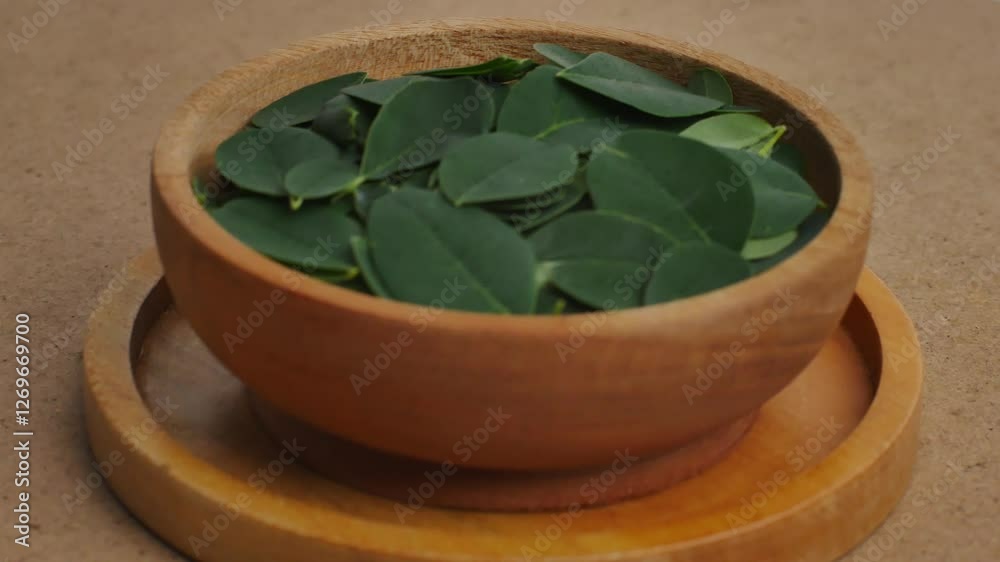 Moringa leaves in a wooden bowl on a rotating display table. Plants with leaves that are rich in nutrients. Super food.