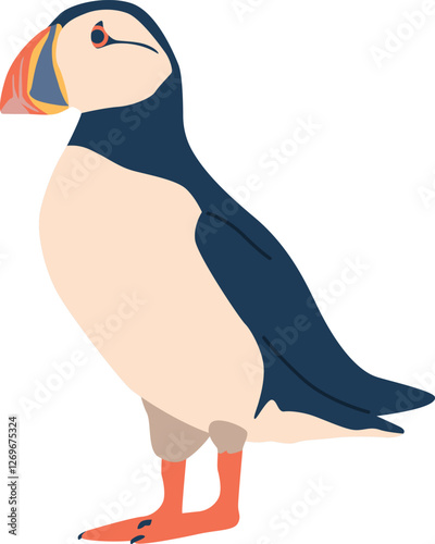 Arctic bird puffin vector illustration