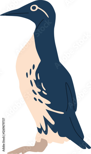 Emperor penguin arctic bird vector illustration