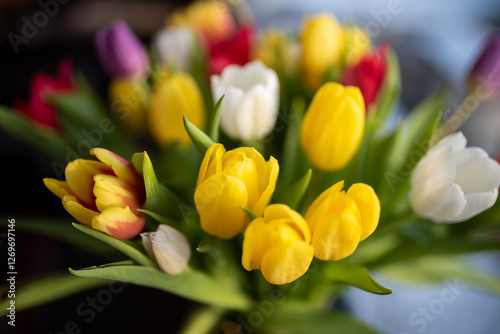 beautiful spring tulips in the winter garden