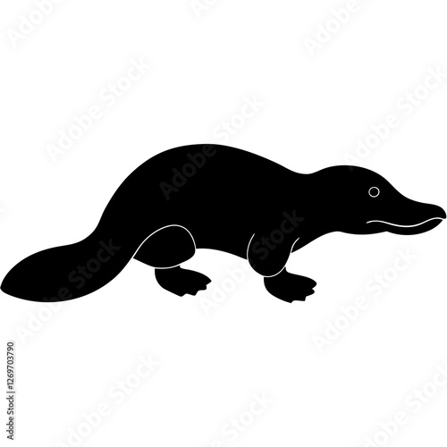 sea lion vector illustration
