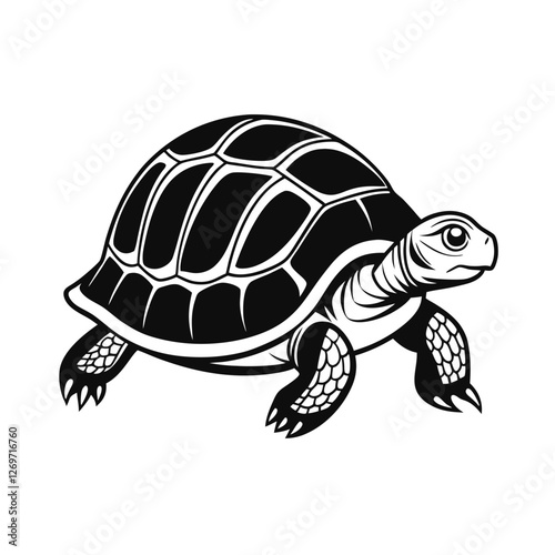 turtle vector illustration