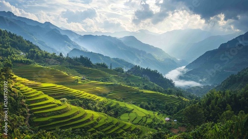 Scenic Terraced Fields Carved into Mountainous Landscape