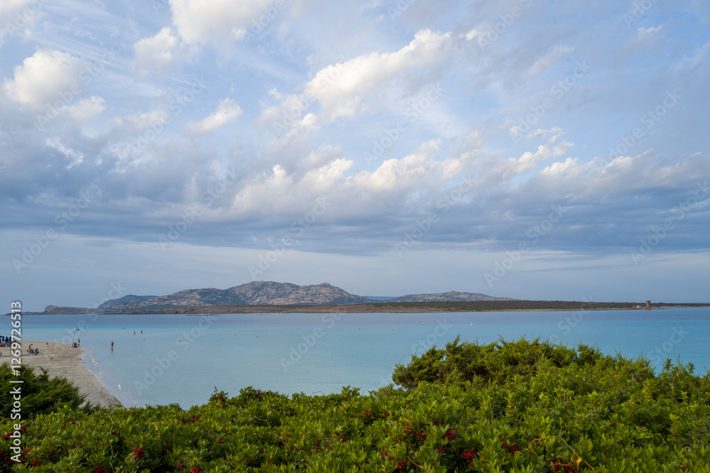 Isola Piana seen from La Pelosa beach in Stintino in Europe, Italy, Sardinia, Stintino, in summer, on a sunny day. Isola Piana seen from La Pelosa beach in Stintino in Europe, Italy, Sardinia, Stintino, in summer, on a sunny day.