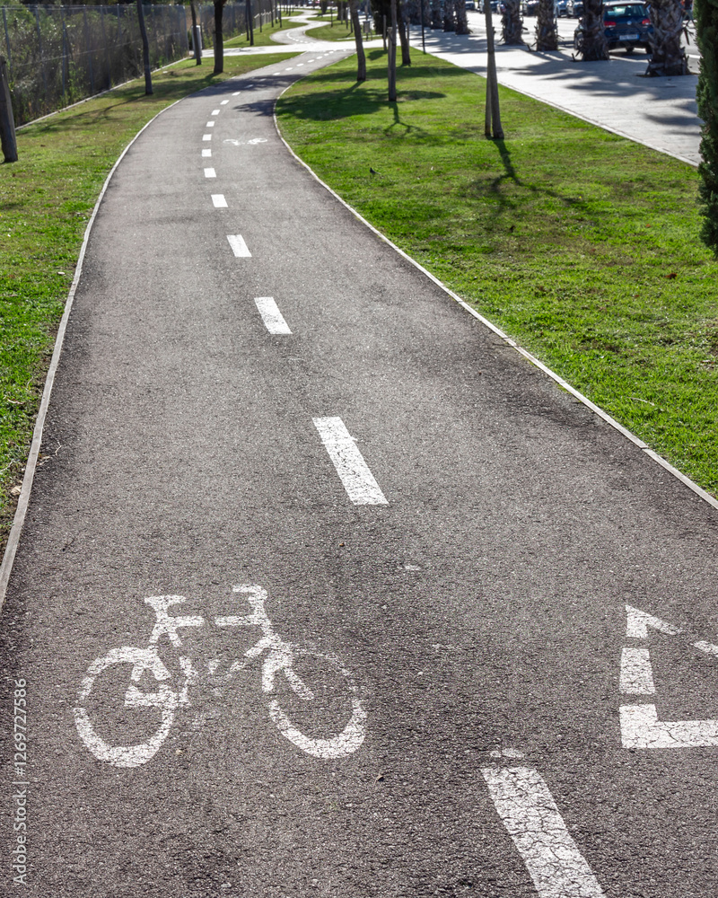 Obraz premium Bike path with a white line and a bike symbol