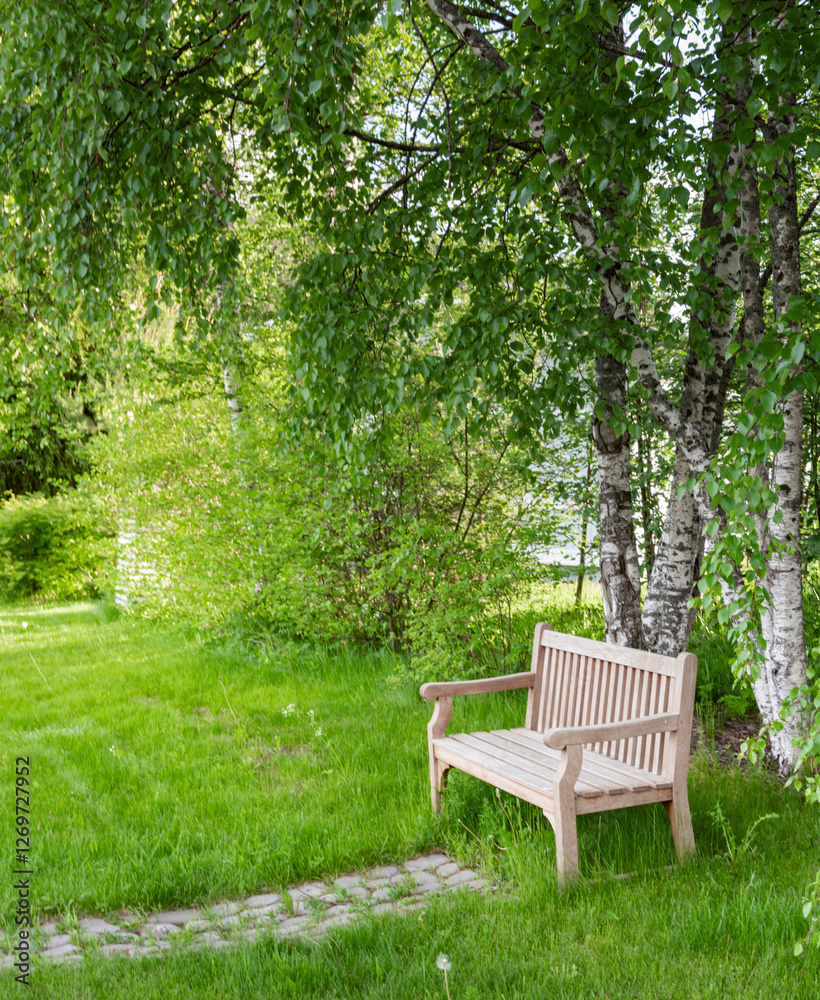 Wooden bench is sitting in a grassy area under a tree Wooden bench is sitting in a grassy area under a tree