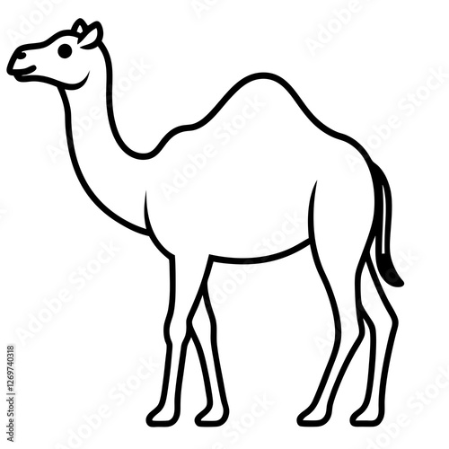 camel isolated on white
