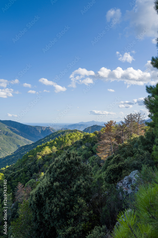 Fototapeta premium The Sardinian countryside between Baunei and Dorgali in Europe, Italy, Sardinia, Baunei, in summer, on a sunny day.
