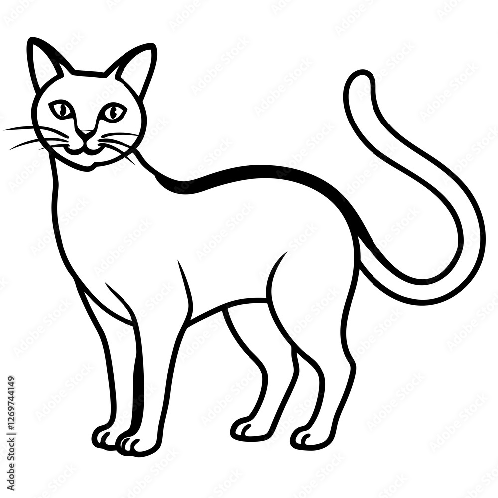 Fototapeta cat and mouse