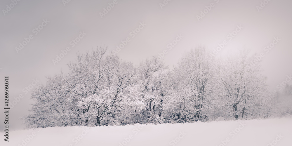 Obraz premium Neige Ardèche France