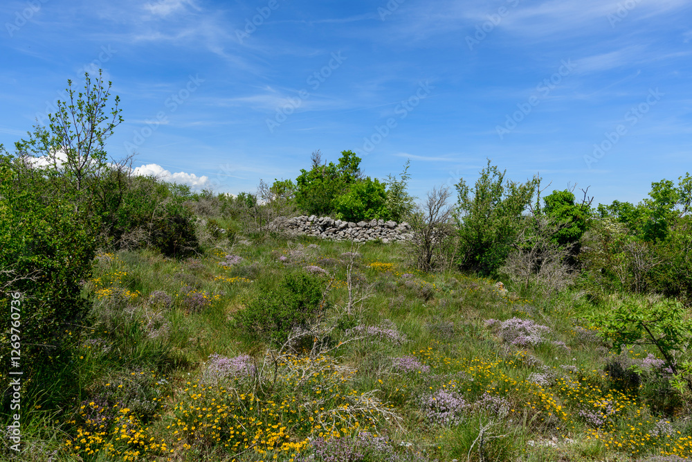 Fototapeta premium The hinterland of the Navacelles cirque in Europe, France, Occitanie, Herault, Saint Maurice Navacelles, in summer, on a sunny day.