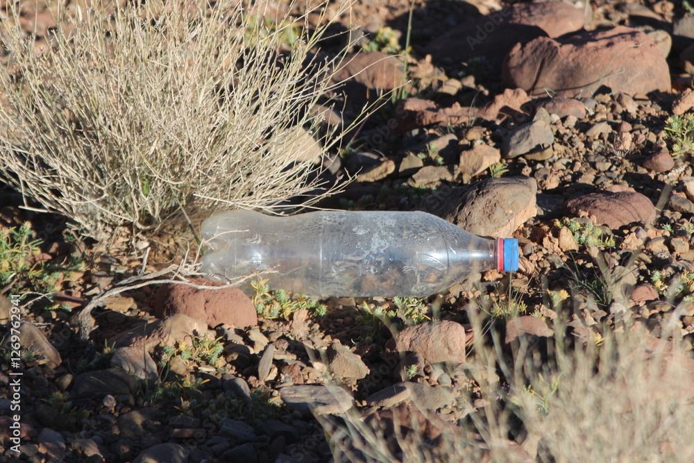 Fototapeta premium Empty plastic bottle lying on ground