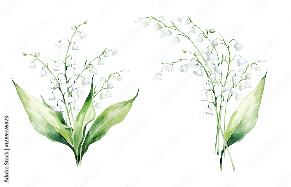 Obraz premium Watercolor Illustration Bouquets of Liliy of the Valley. Botanical illustration for invitation and social media.