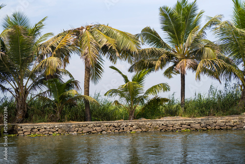 The countryside around the backwaters in Alappuzha in Asia, India, Kerala, Alleppey, in summer, on a sunny day. photo